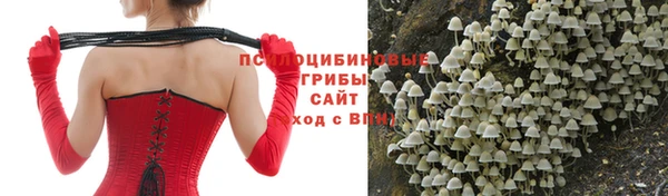 таблы Магадан